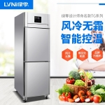 LVNI綠零二門高身冷凍柜TG-0.5L12FD 風冷無霜冷凍冰箱 上下門冷柜